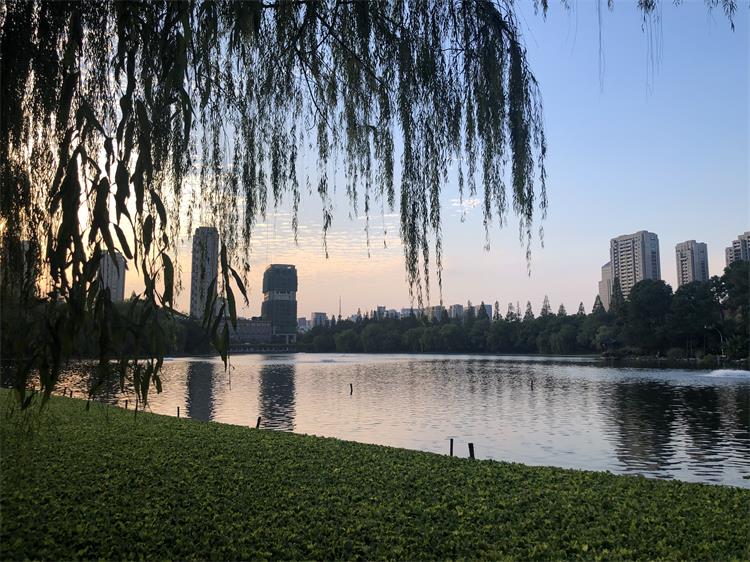 微信图片_20211026154113.jpg